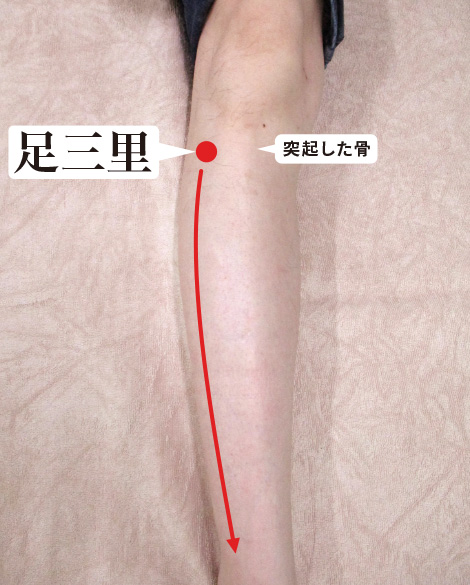 足三里